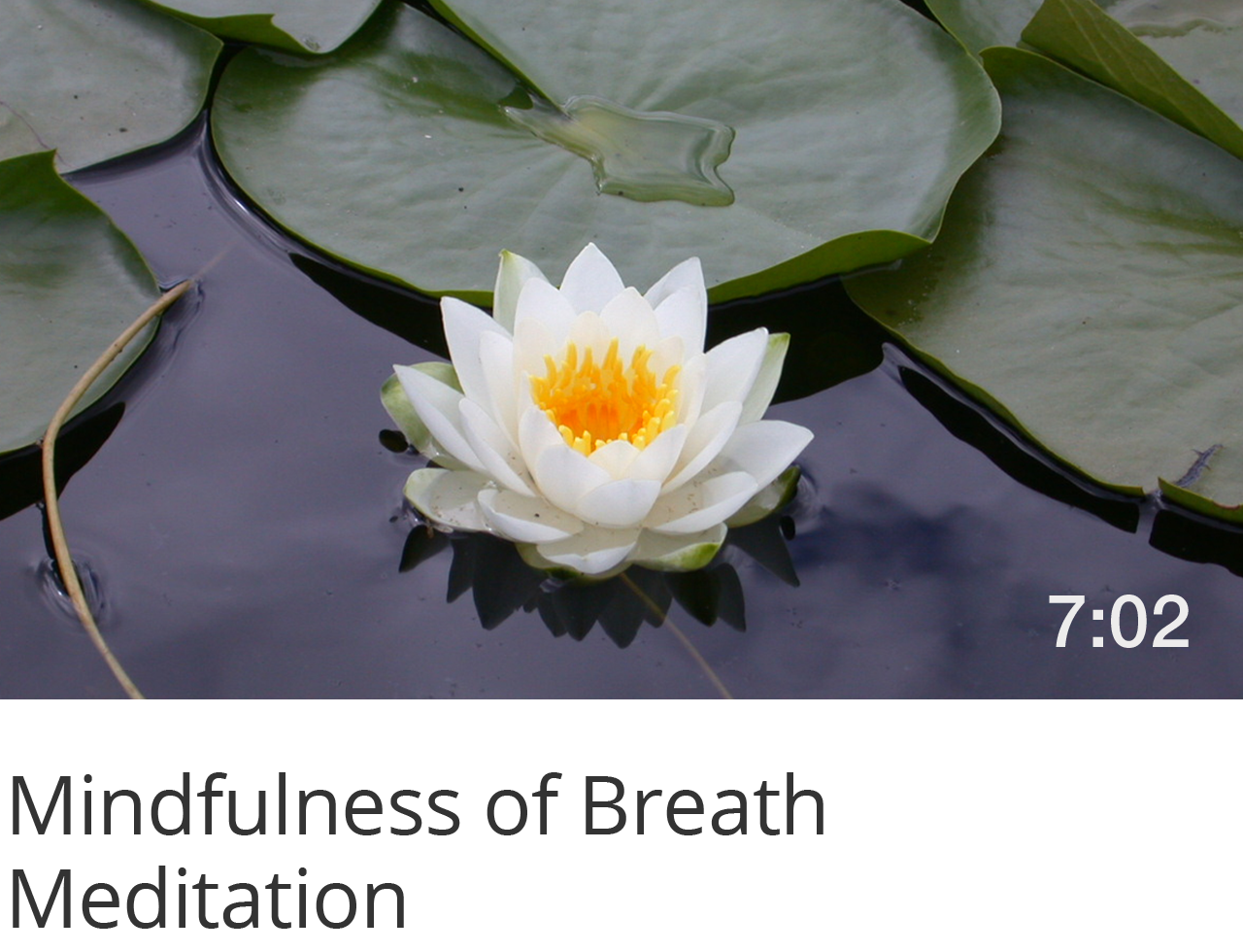 Mindfulness of Breath Meditation
